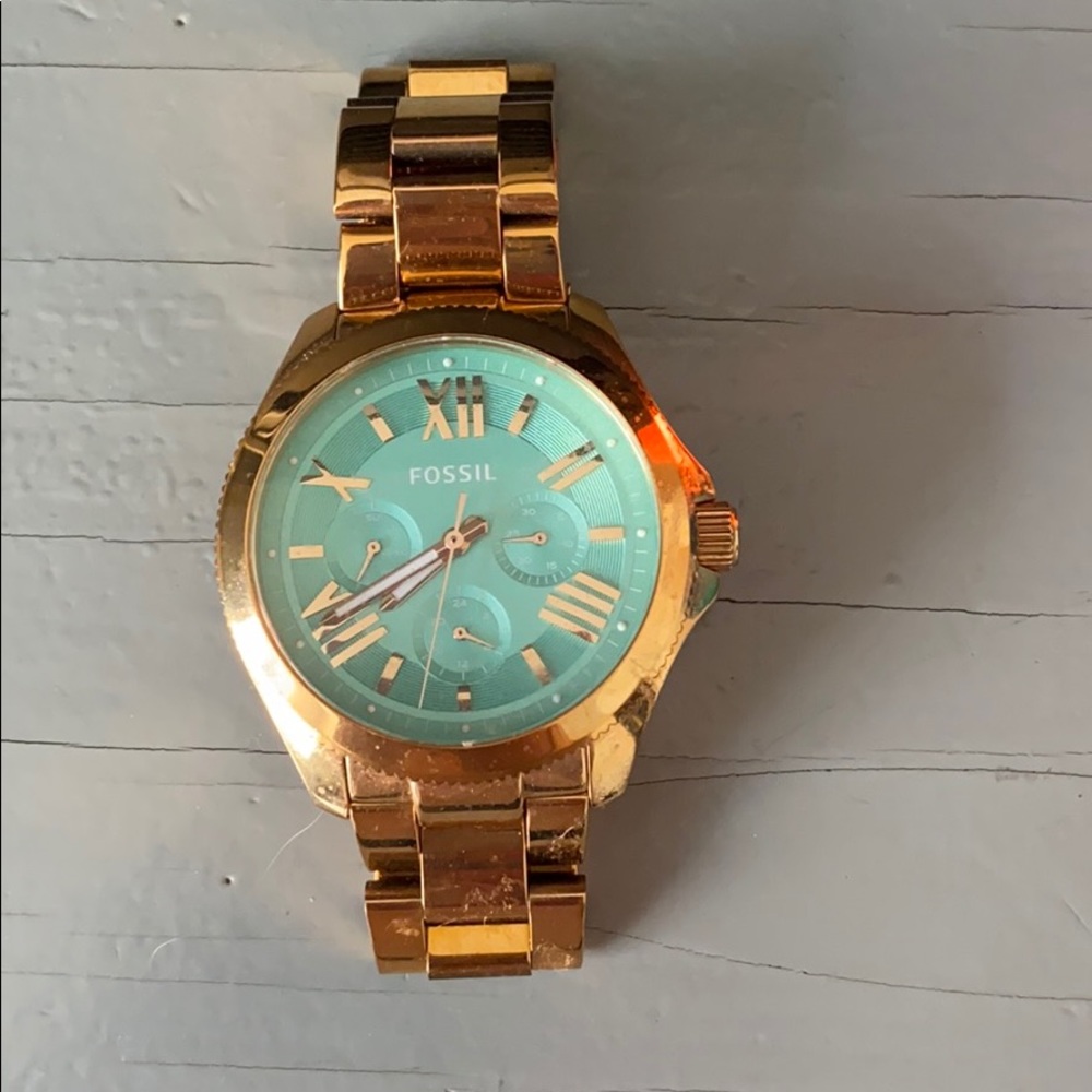 Fossil Watch